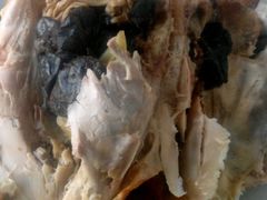 -大益烤鸡