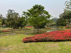 -中国科学院西双版纳热带植物园