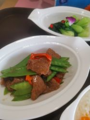 -星玥国际月子中心(天通苑店)