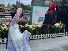 -荷兰花海