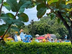 -重庆海昌加勒比海水世界