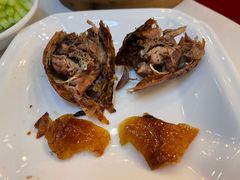 -九花山烤鸭店
