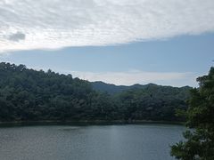 -佛山市三水区大南山森林公园