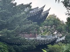 -水绘园