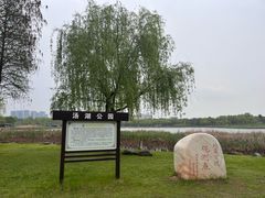 -汤湖公园