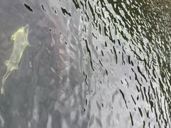 -天源渔港农庄