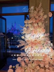 -迈瑞米求婚策划(静安店)