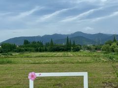 -长田漾湿地公园
