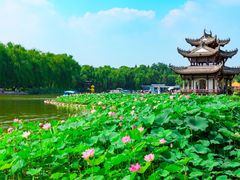-陶然亭公园
