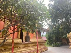 -西双版纳总佛寺