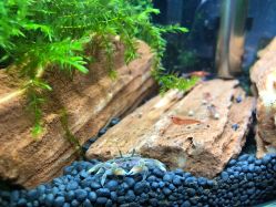 -椿树下·Tattoo纹身工作室