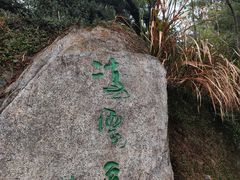 -梧桐山风景名胜区