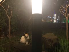 -苏州河梦清园环保主题公园