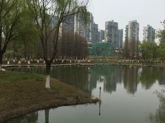 -白塘生态植物园