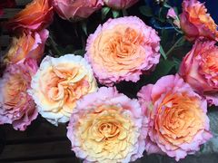 -循礼门鲜花花市(武汉循礼门店)