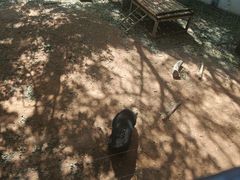 -昆明动物园