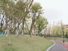 -府河摄影公园