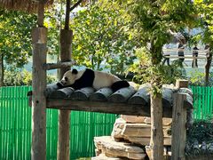 -西霞口神雕山野生动物世界