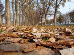 -陕西省体育训练中心-游泳馆