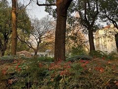 -申粤轩酒楼·三十年粤菜经典(丁香花园店)