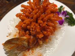 -谢氏老金口渔村(王家墩店)