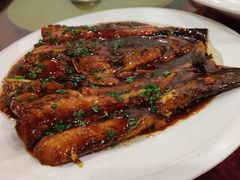 -旭龙鱼头王(航华店)