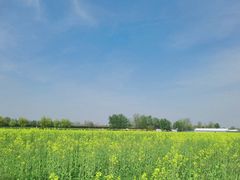 -汉长安城未央宫国家考古遗址公园