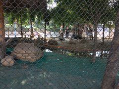 -陕西自然博物馆