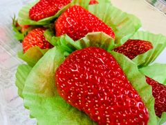 -百果园PAGODA(建业如意家园店)