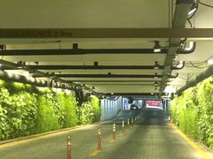 -上海中心大厦·地下停车库