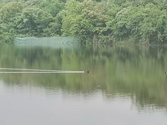 -盘龙城遗址博物院
