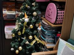 -东方名猫馆·英短金渐层布偶猫舍(环线广场1号楼店)