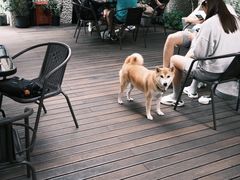 -一尺花园(安和花园店)