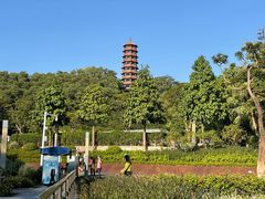 -红花山公园
