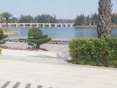 -五里桥文化公园-西侧停车场