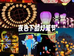 -淄博花灯齐彩城