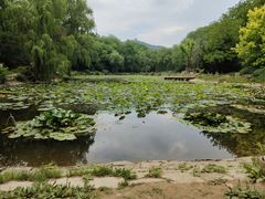 -棒棰岛宾馆景区