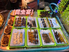 -光明港公园