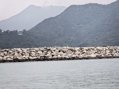 -大澳