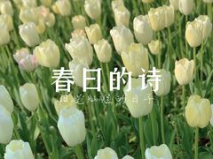 -大宁公园
