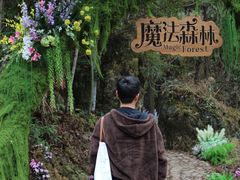 -龙湾潭国家森林公园