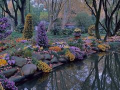 -上海共青森林公园