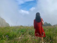 -白草畔自然风景区