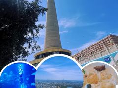 -中央广播电视塔