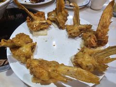 -港升鱼师傅·中山脆肉鲩