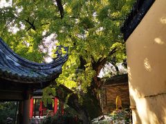 -无锡惠山寺