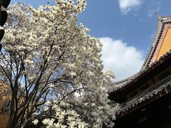 -龙华寺