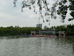 -大兴滨河森林公园