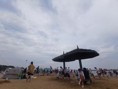 -碧海金沙