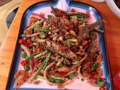 -鱼乐岛餐厅·户外花园主题餐厅